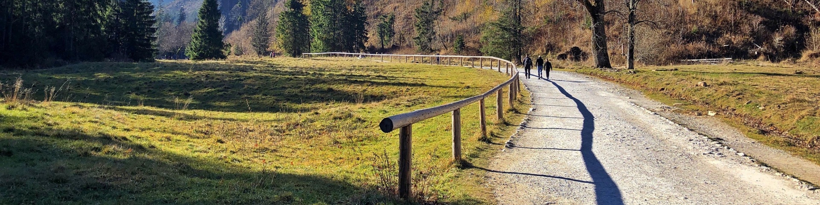 Tours and Excursions